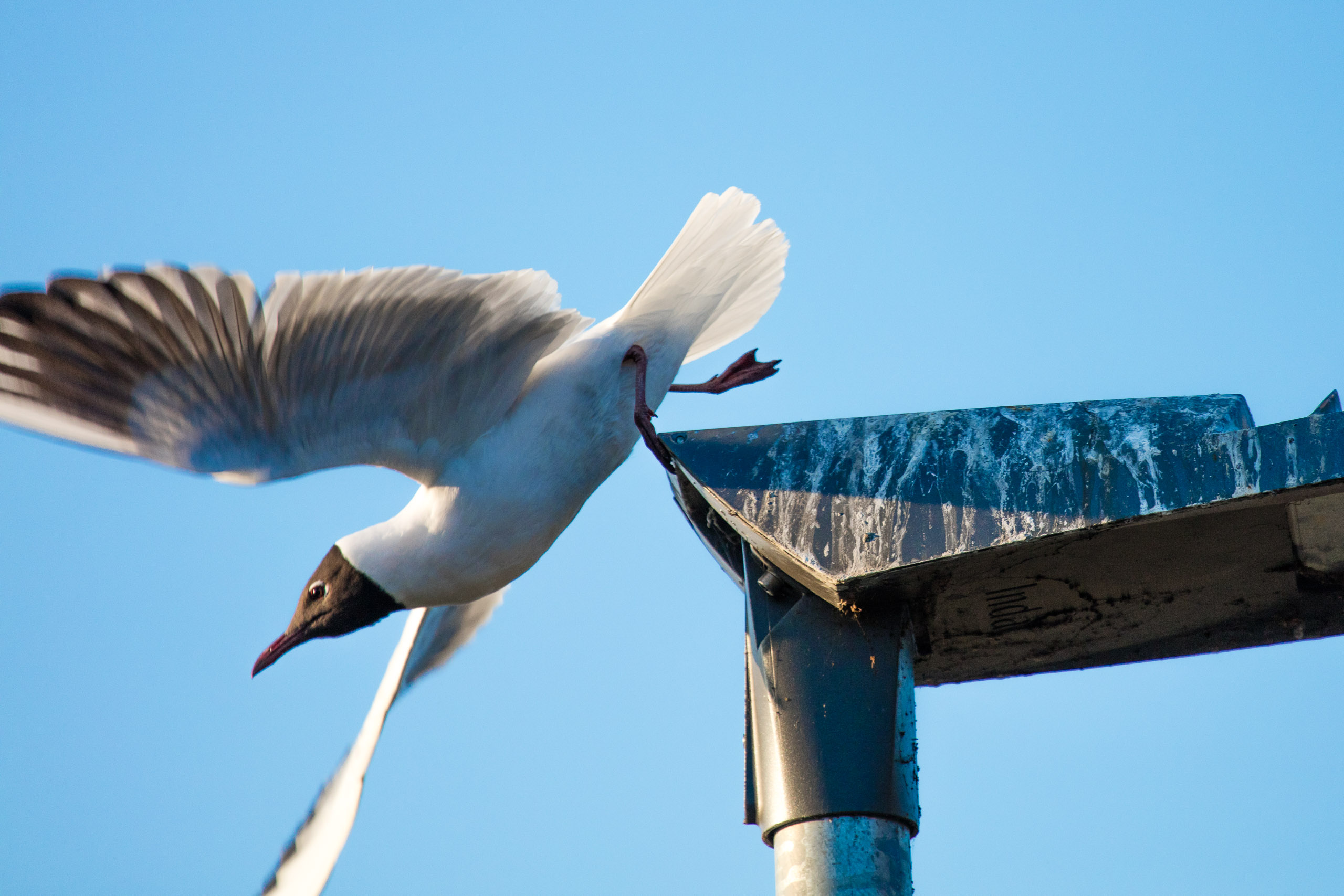 20160319174112 DP017842